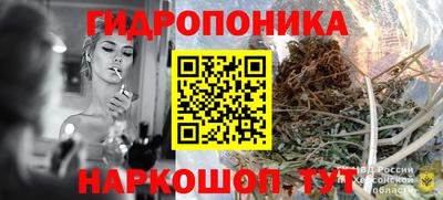стаф Гусь-Хрустальный