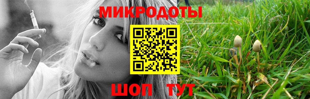 Псилоцибиновые грибы Psilocybine cubensis Канаш